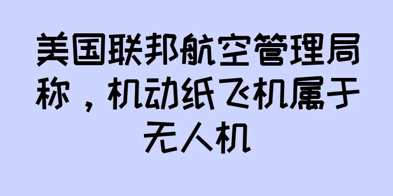 美国联邦航空管理局称，机动纸飞机属于无人机