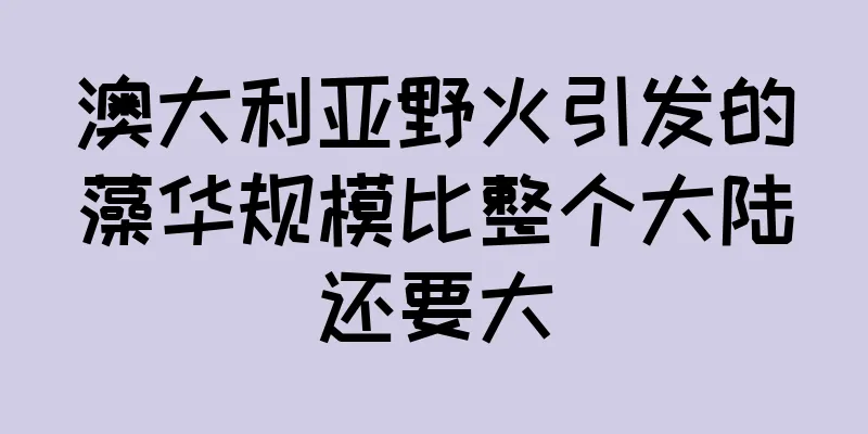 澳大利亚野火引发的藻华规模比整个大陆还要大