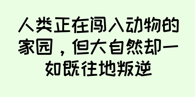 人类正在闯入动物的家园，但大自然却一如既往地叛逆