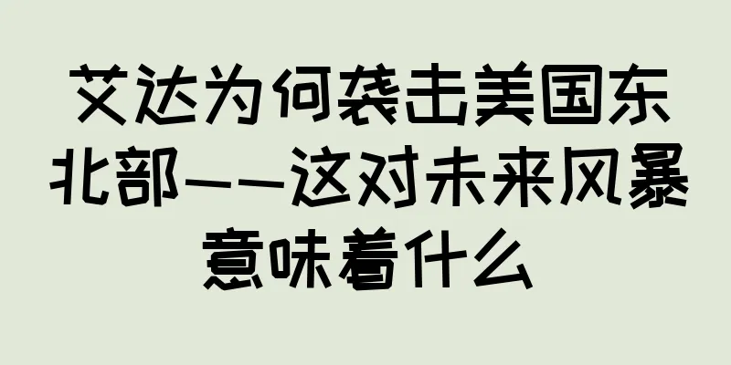 艾达为何袭击美国东北部——这对未来风暴意味着什么