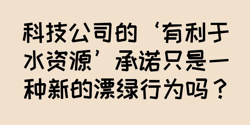 科技公司的‘有利于水资源’承诺只是一种新的漂绿行为吗？