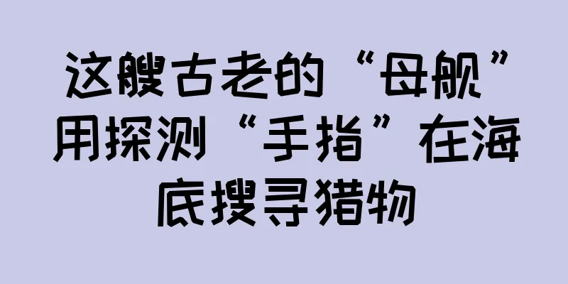 这艘古老的“母舰”用探测“手指”在海底搜寻猎物
