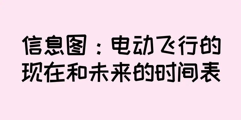 信息图：电动飞行的现在和未来的时间表