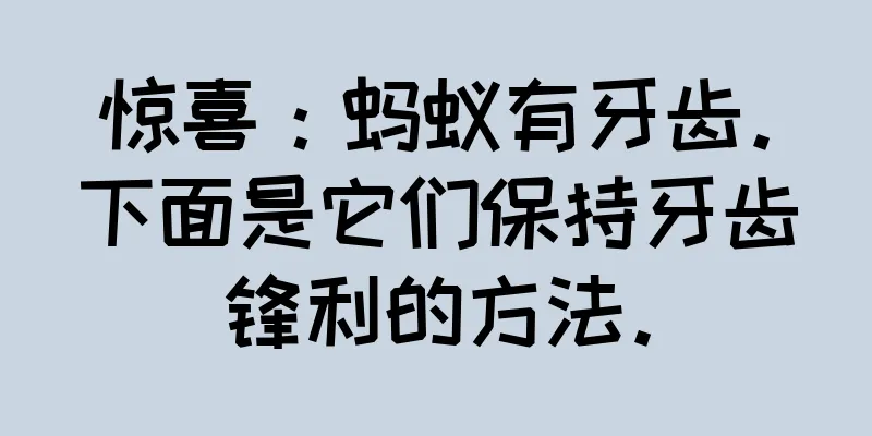 惊喜：蚂蚁有牙齿。下面是它们保持牙齿锋利的方法。