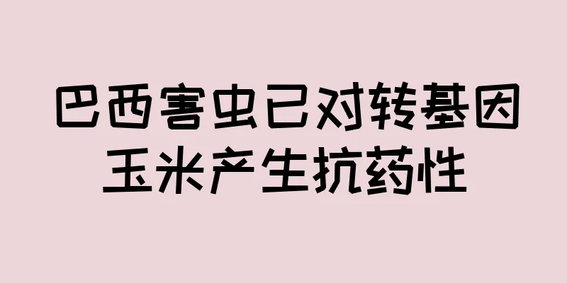 巴西害虫已对转基因玉米产生抗药性