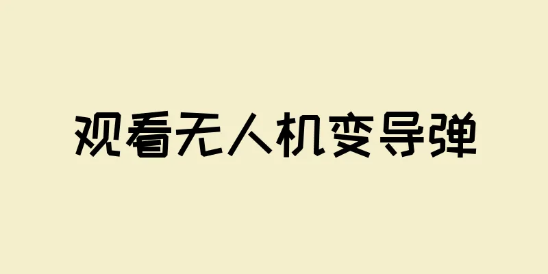 观看无人机变导弹