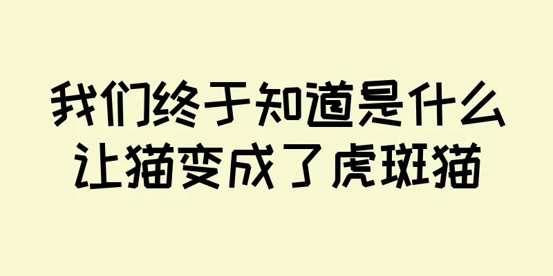 我们终于知道是什么让猫变成了虎斑猫