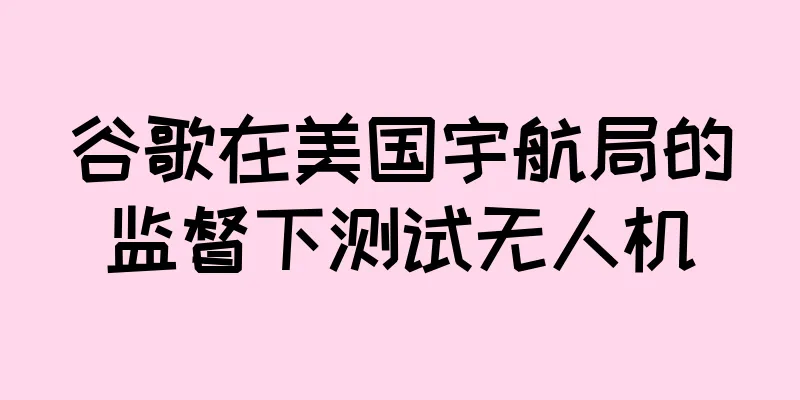 谷歌在美国宇航局的监督下测试无人机