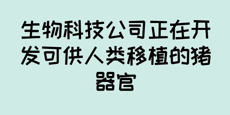 生物科技公司正在开发可供人类移植的猪器官