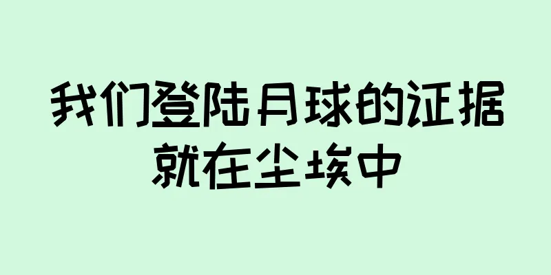 我们登陆月球的证据就在尘埃中