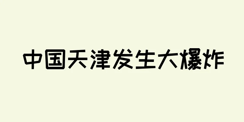 中国天津发生大爆炸