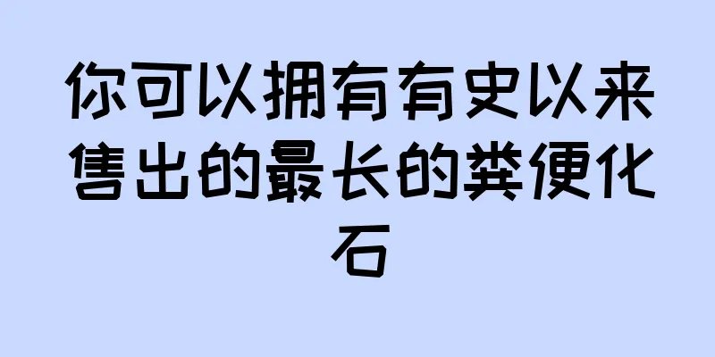 你可以拥有有史以来售出的最长的粪便化石