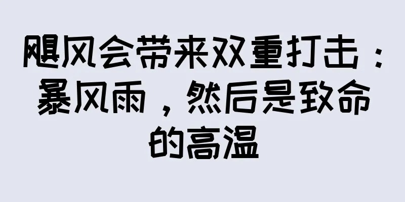 飓风会带来双重打击：暴风雨，然后是致命的高温