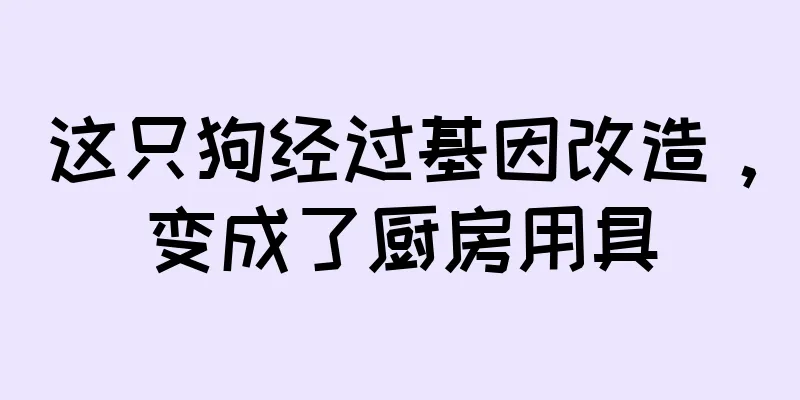 这只狗经过基因改造，变成了厨房用具