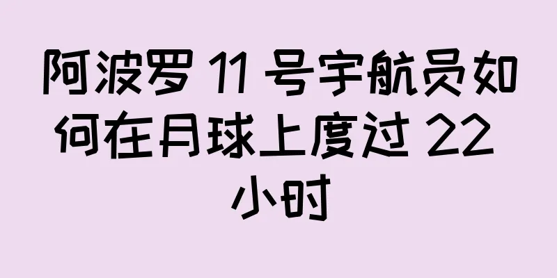 阿波罗 11 号宇航员如何在月球上度过 22 小时