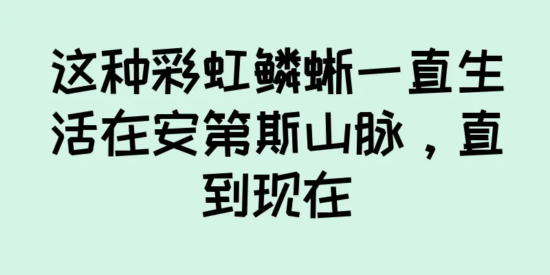 这种彩虹鳞蜥一直生活在安第斯山脉，直到现在