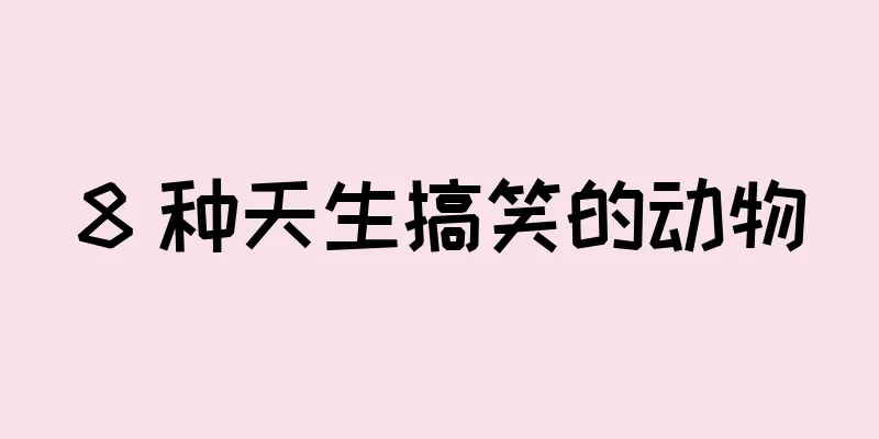 8 种天生搞笑的动物