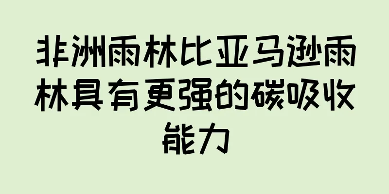 非洲雨林比亚马逊雨林具有更强的碳吸收能力