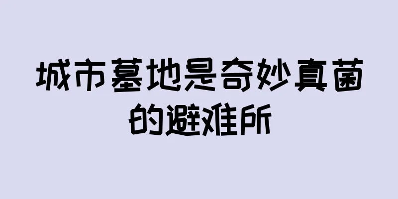 城市墓地是奇妙真菌的避难所