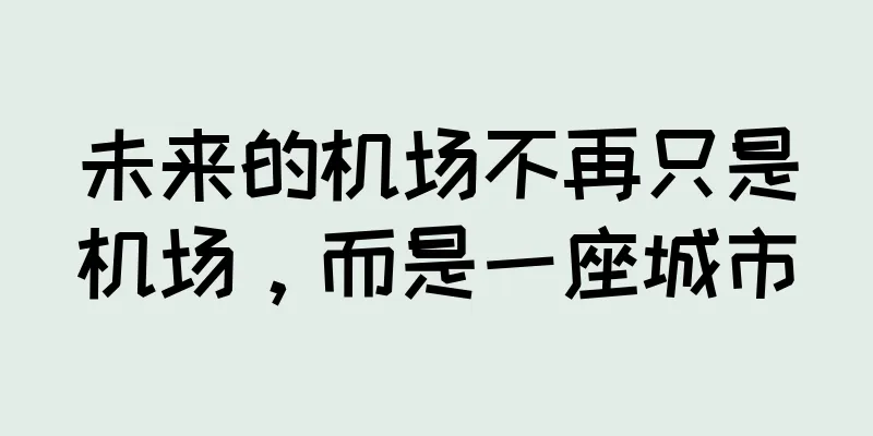 未来的机场不再只是机场，而是一座城市