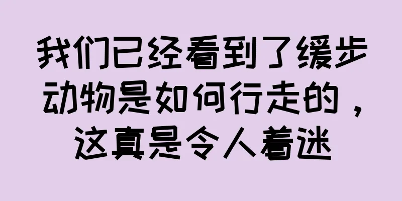 我们已经看到了缓步动物是如何行走的，这真是令人着迷