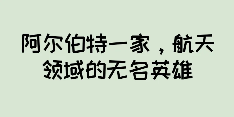 阿尔伯特一家，航天领域的无名英雄