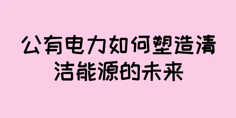 公有电力如何塑造清洁能源的未来