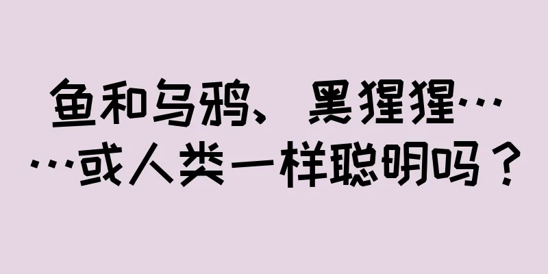 鱼和乌鸦、黑猩猩……或人类一样聪明吗？