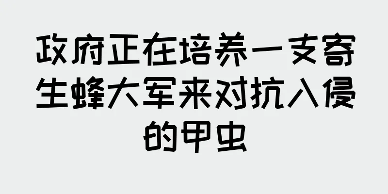 政府正在培养一支寄生蜂大军来对抗入侵的甲虫