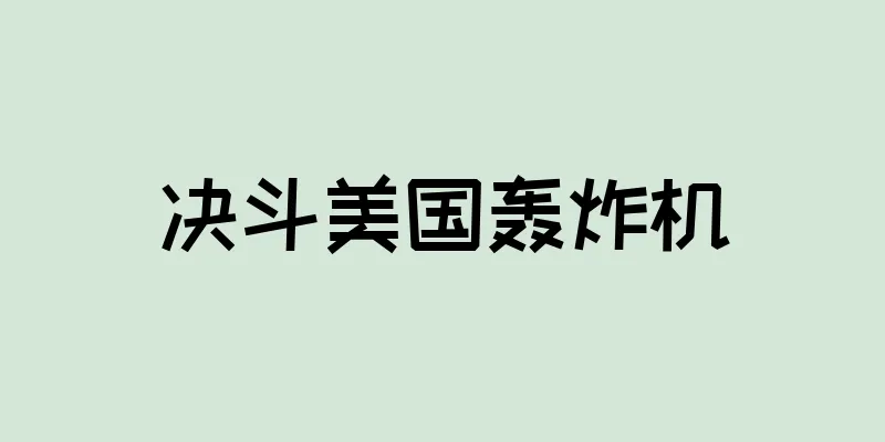 决斗美国轰炸机