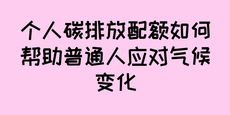 个人碳排放配额如何帮助普通人应对气候变化