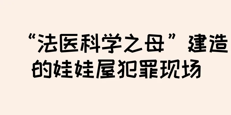 “法医科学之母”建造的娃娃屋犯罪现场
