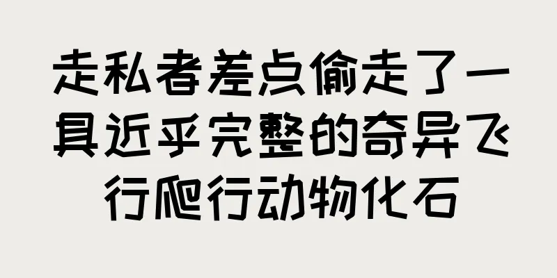 走私者差点偷走了一具近乎完整的奇异飞行爬行动物化石