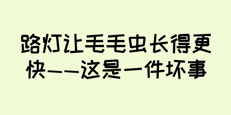 路灯让毛毛虫长得更快——这是一件坏事