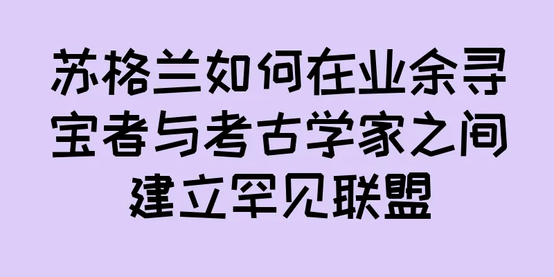 苏格兰如何在业余寻宝者与考古学家之间建立罕见联盟