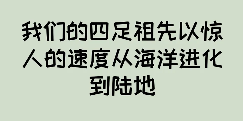 我们的四足祖先以惊人的速度从海洋进化到陆地
