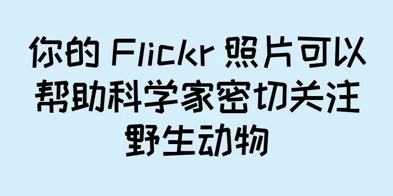 你的 Flickr 照片可以帮助科学家密切关注野生动物