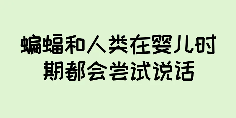 蝙蝠和人类在婴儿时期都会尝试说话