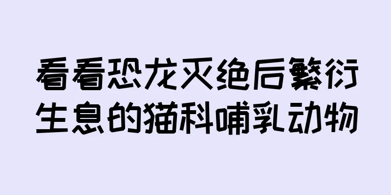 看看恐龙灭绝后繁衍生息的猫科哺乳动物