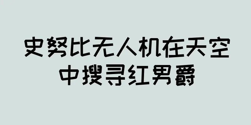 史努比无人机在天空中搜寻红男爵