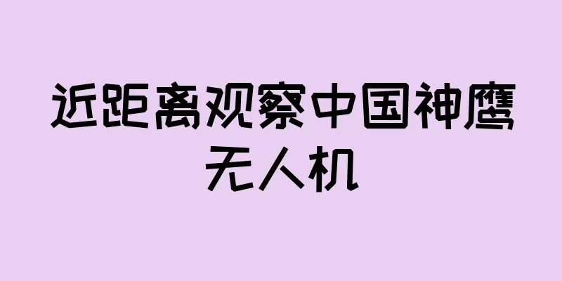 近距离观察中国神鹰无人机