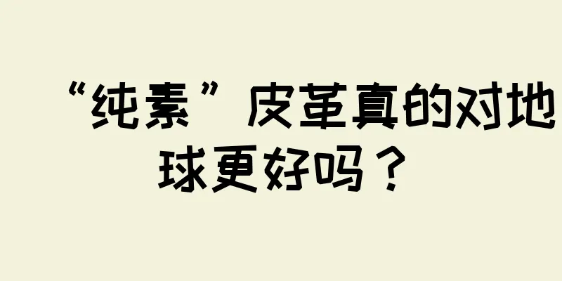 “纯素”皮革真的对地球更好吗？