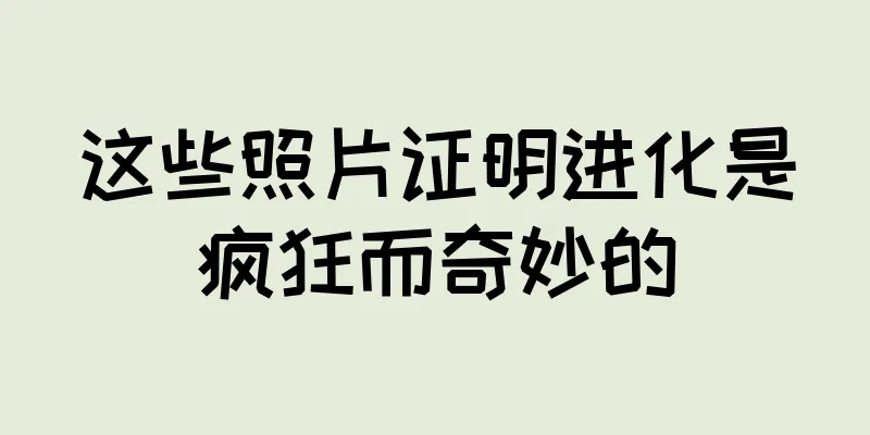这些照片证明进化是疯狂而奇妙的