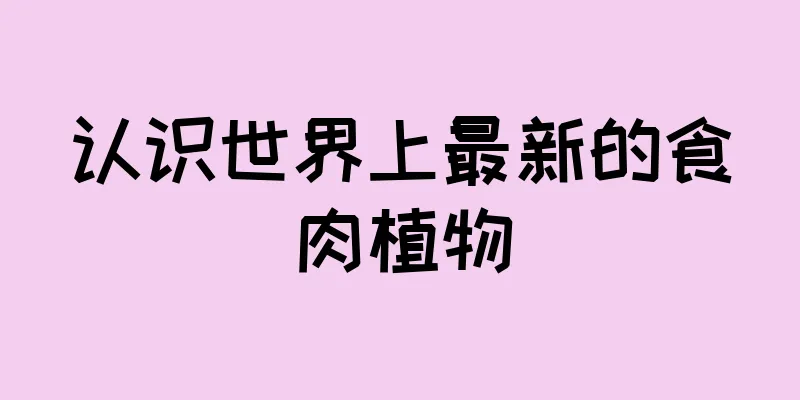 认识世界上最新的食肉植物