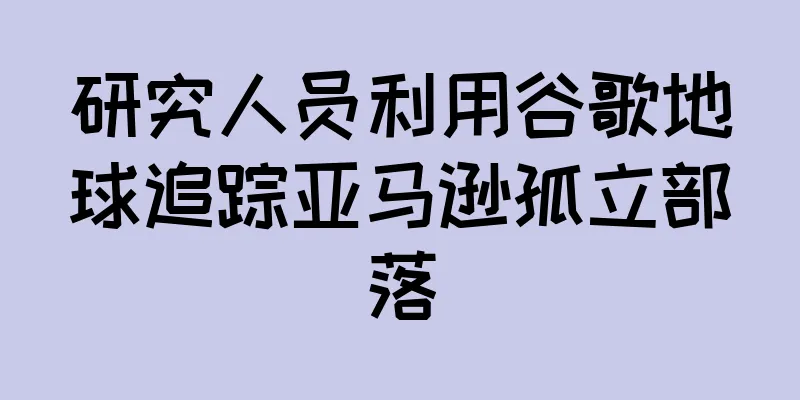 研究人员利用谷歌地球追踪亚马逊孤立部落