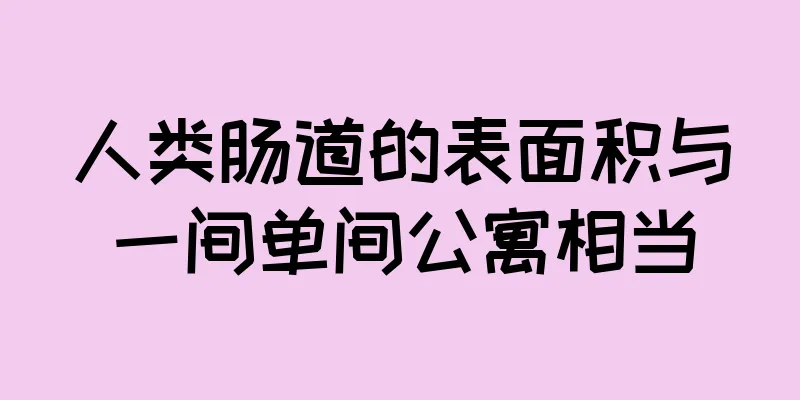 人类肠道的表面积与一间单间公寓相当