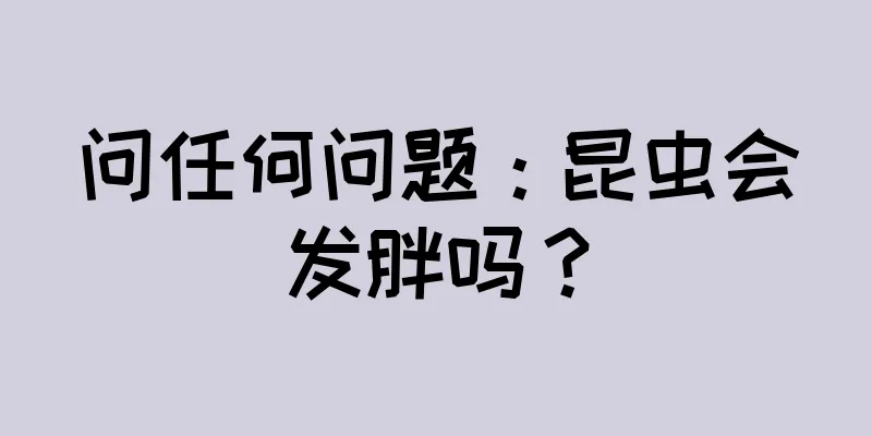 问任何问题：昆虫会发胖吗？