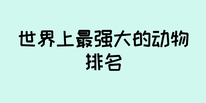 世界上最强大的动物排名