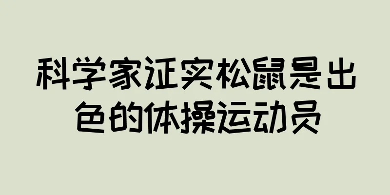 科学家证实松鼠是出色的体操运动员