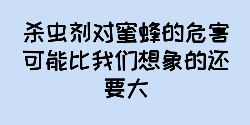 杀虫剂对蜜蜂的危害可能比我们想象的还要大